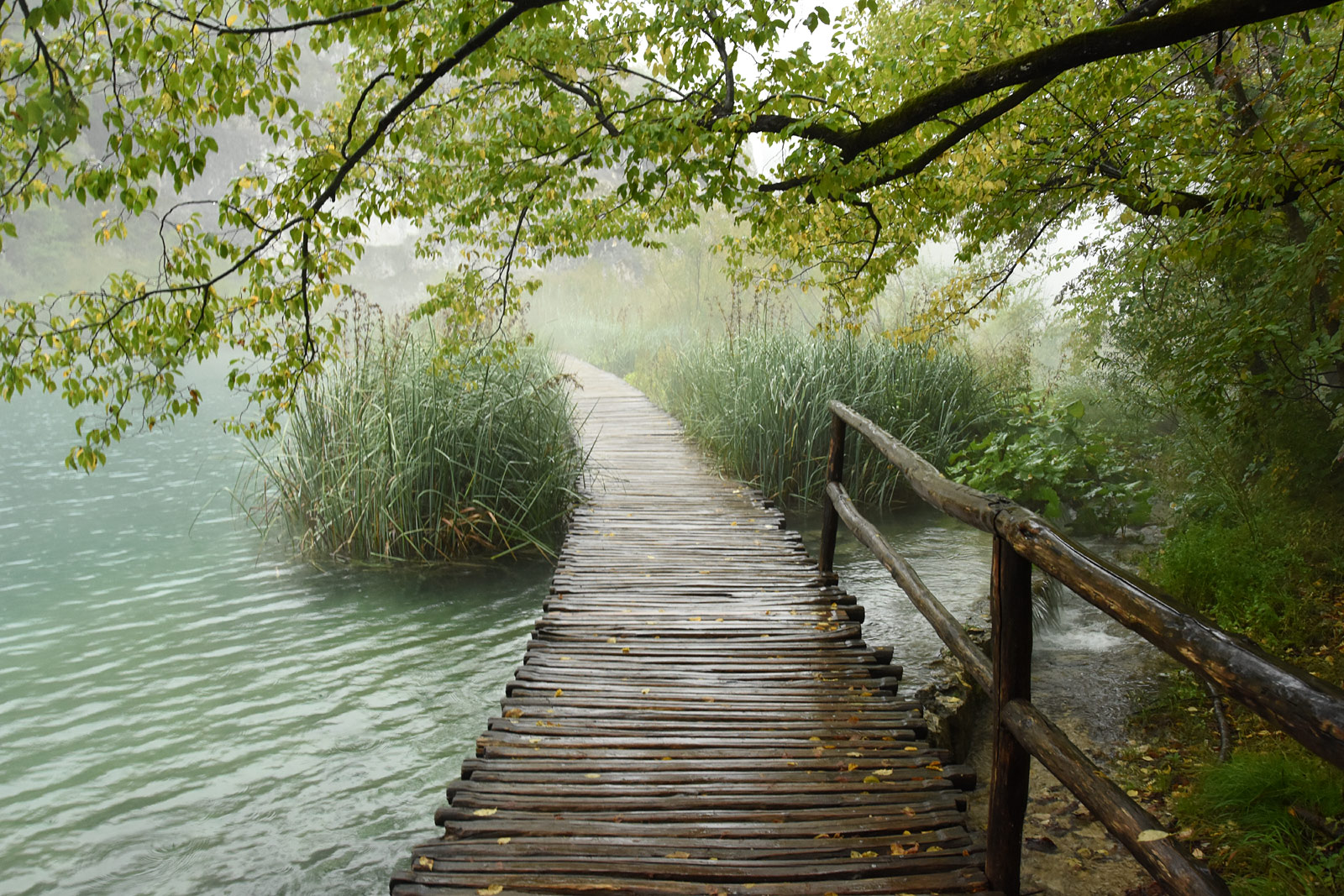 Plitvice Lakes N.P.